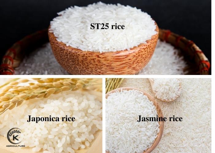 vietnam-rice-export-to-china-1.jpg