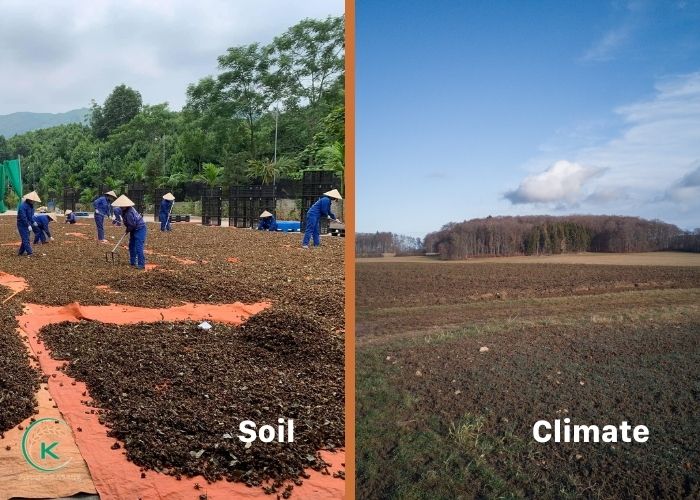 Soil-and-climate.jpg