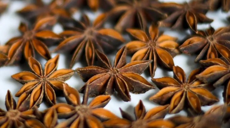 buying-vietnam-star-anise-can-bring-a-large-number-of-profit-1