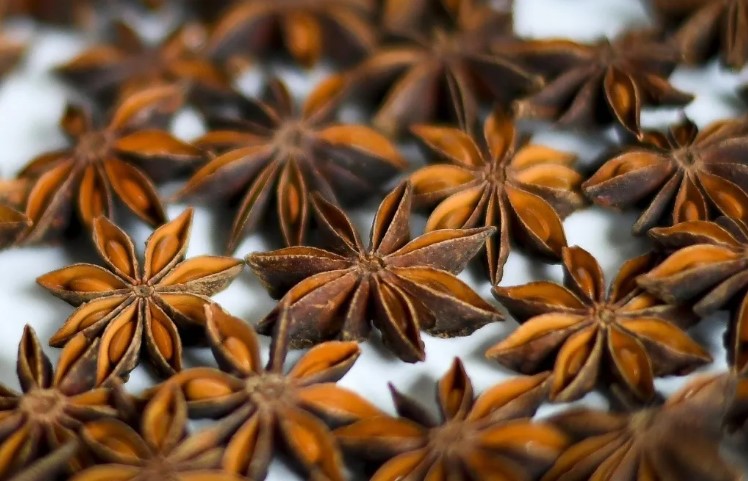 buying-vietnam-star-anise-can-bring-a-large-number-of-profit-1