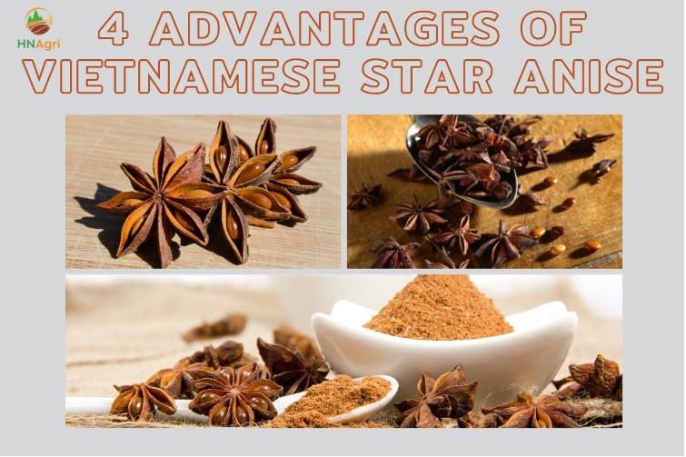 buying-vietnam-star-anise-can-bring-a-large-number-of-profit-2