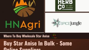 some-advice-on-where-to-buy-whole-star-anise-for-you-1