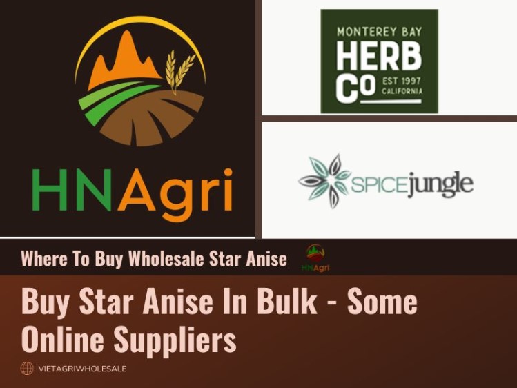 some-advice-on-where-to-buy-whole-star-anise-for-you-1