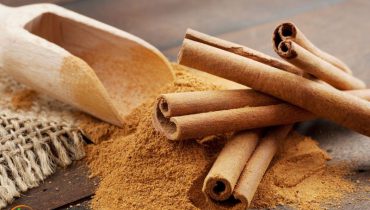 hanoi-cinnamon-exporter-delivering-the-finest-cinnamon-worldwide-1