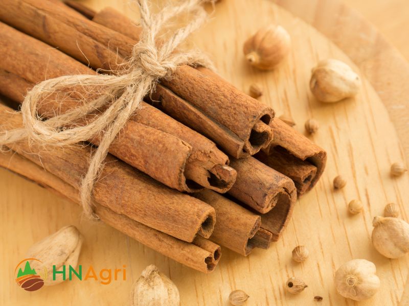 wholesale-cinnamon-sticks-high-quality-spice-at-competitive-prices-2
