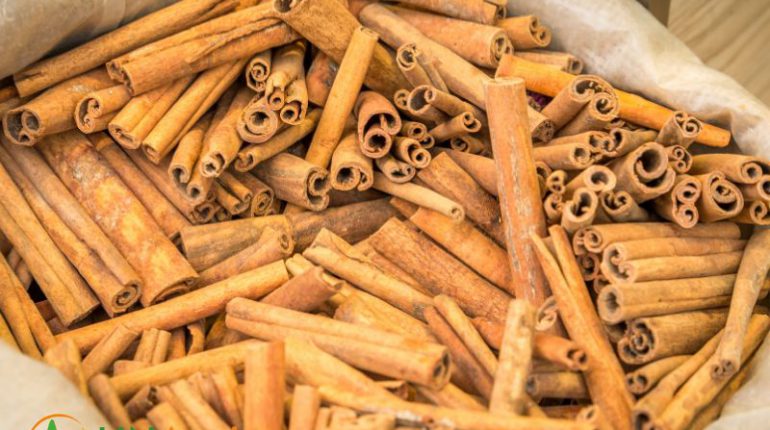 wholesale-cinnamon-sticks-high-quality-spice-at-competitive-prices-1