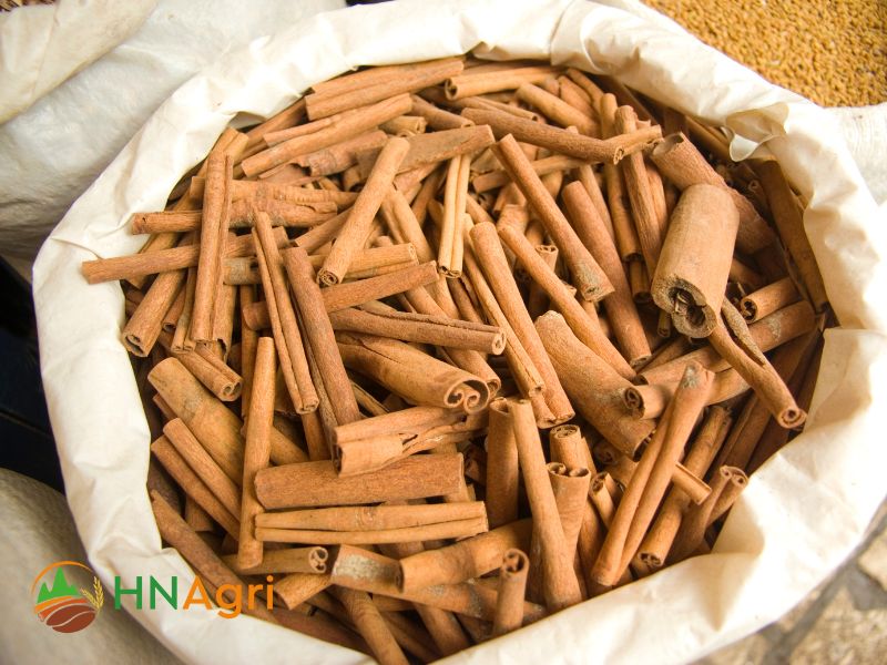 wholesale-cinnamon-sticks-high-quality-spice-at-competitive-prices-3