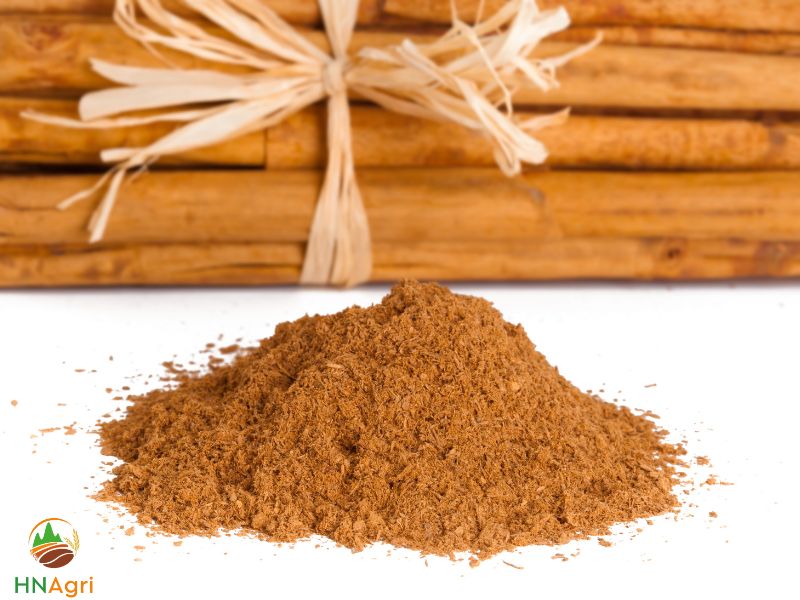 sri-lanka-cinnamon-a-profitable-choice-for-wholesale-spice-buyers-2
