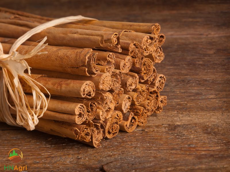 sri-lanka-cinnamon-a-profitable-choice-for-wholesale-spice-buyers-1